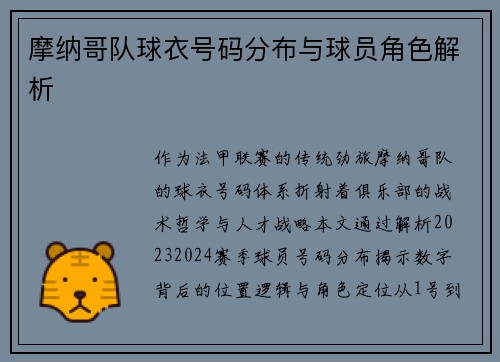 摩纳哥队球衣号码分布与球员角色解析