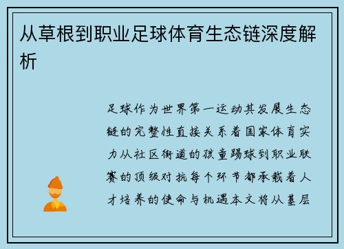 从草根到职业足球体育生态链深度解析